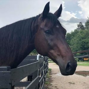 Meet your Posher, Kathy